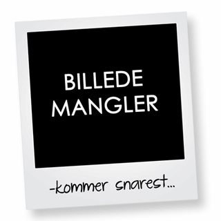 Billede af Vandpumpe Ombyt.